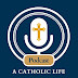 A Catholic Life Podcast: Episode 66
