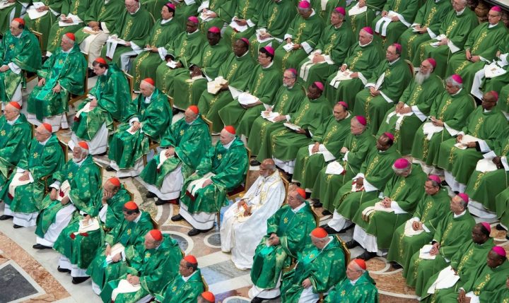 Theologians study synod reports to prepare working document