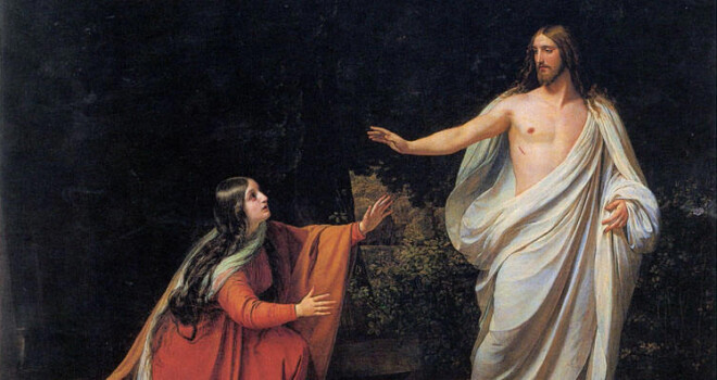 Why a Gardener? A Reflection for the Feast of St Mary Magdalene